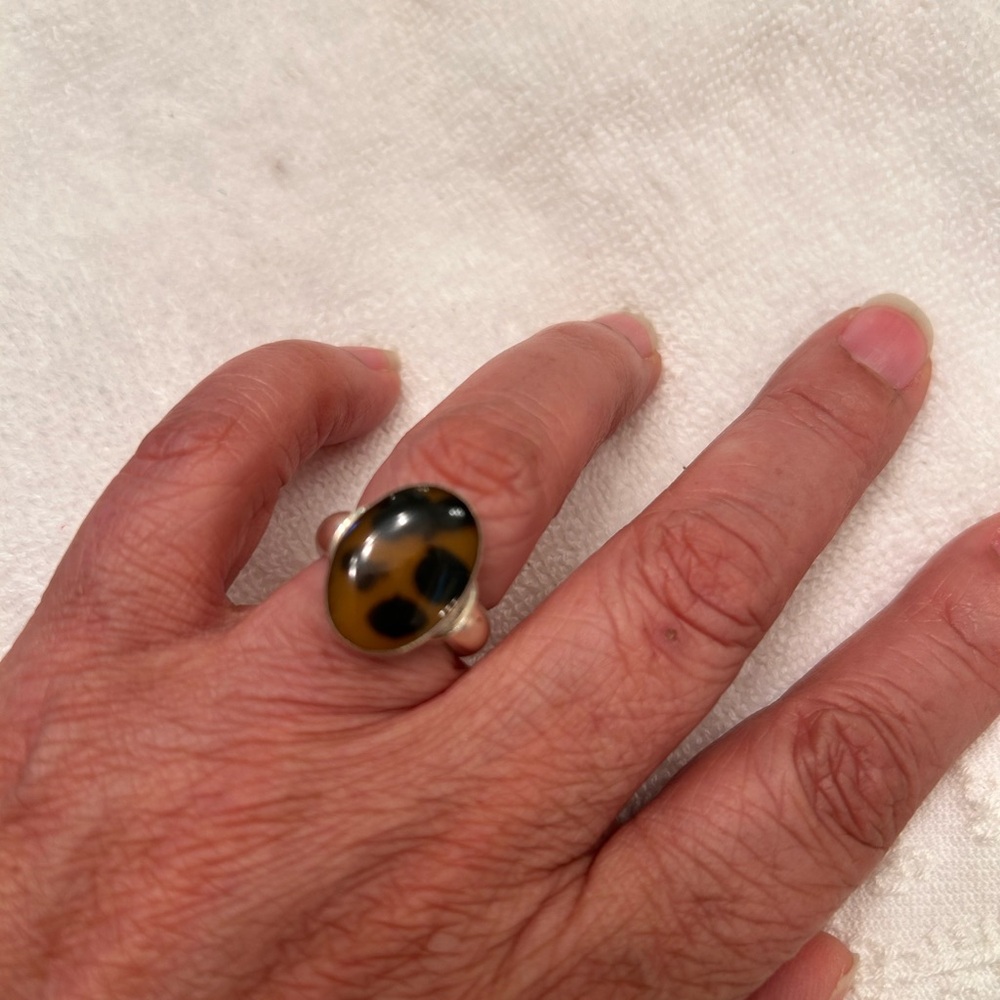 Silver Ring with Black and Brown Stone